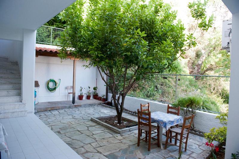 Syraina Apartments İskados Dış mekan fotoğraf